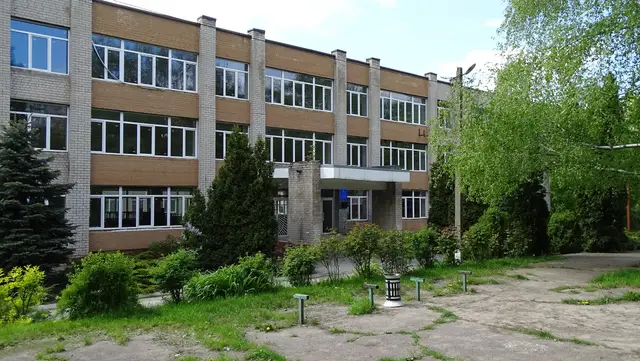 Триповерхова цегляна будівля Дніпровського ліцею №22 зі стрічками вікон, ґанком головного входу та зеленим подвір’ям