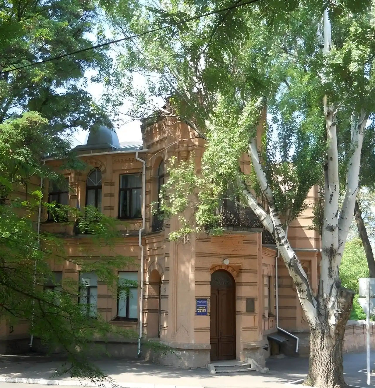 Зелений фасад садиби на Сергія Єфремова, 9 із синьою табличкою обласної бібліотеки для дітей і без людей