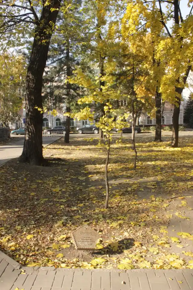 Осінні дерева й пам’ятна табличка в сквері Івана Старова