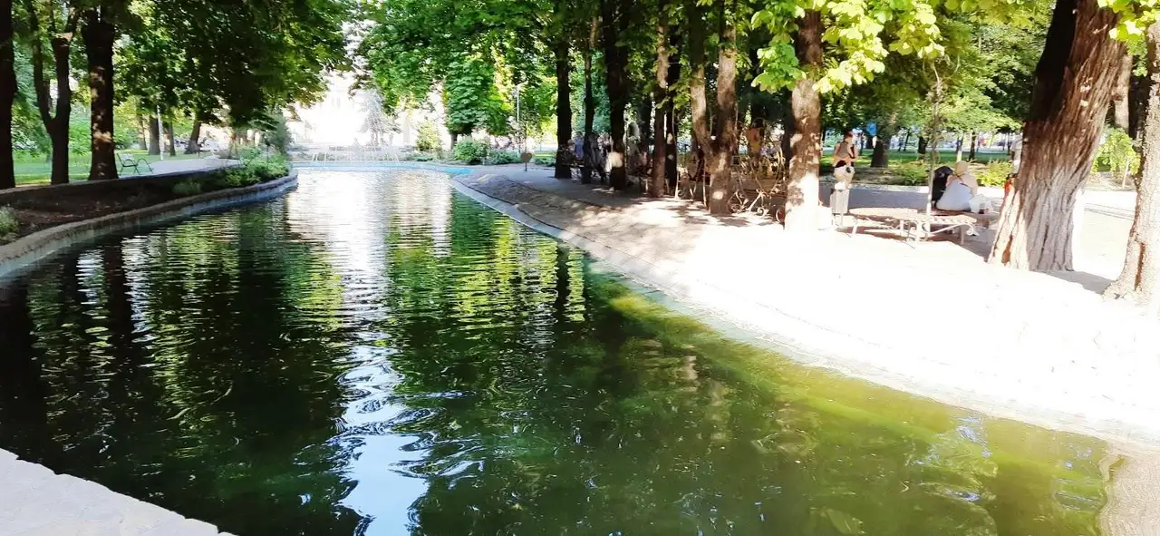 Водойма й зелений берег у Центральному парку Кам’янського