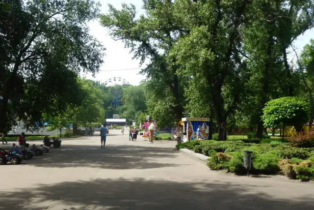 Головна алея серед дерев у парку Лазаря Глоби в Дніпрі