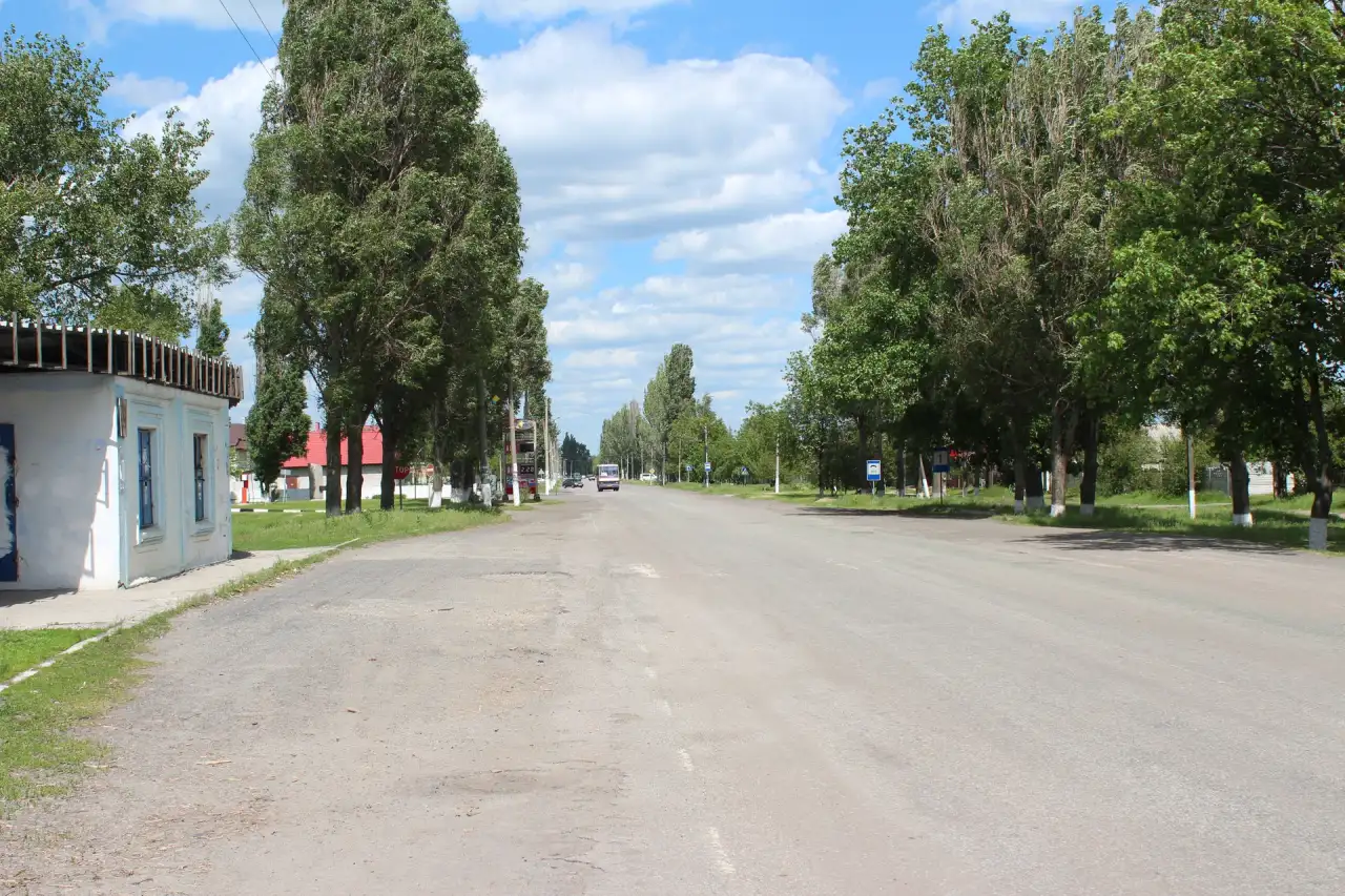 Широка вулиця з деревами та невисокою забудовою у Перещепиному
