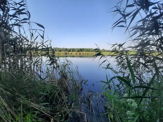 Заплавний краєвид у ландшафтному заказнику Приорільський
