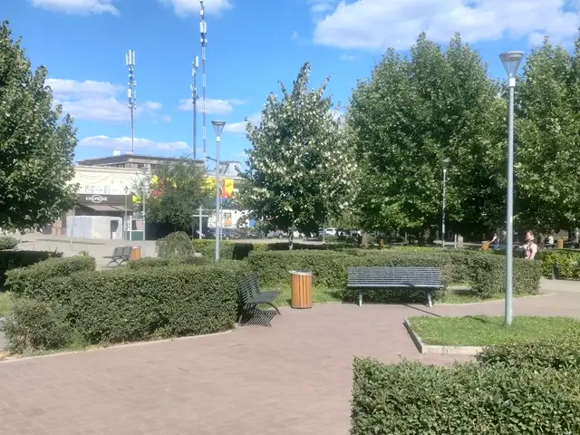 Літній Сквер Західний із зеленими живоплотами, лавами та кількома відвідувачами
